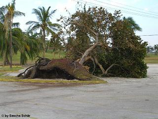 Schden in Miami