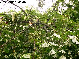 Bild 16