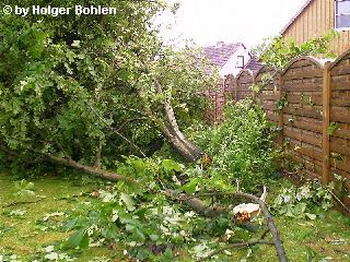 Bild 17