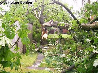 Bild 19
