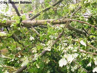 Bild 20