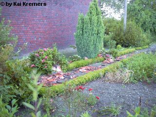 Bild 13