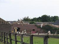 Bild 17
