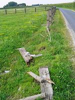 Bild 25