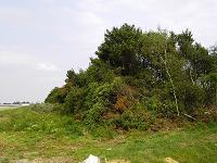 Bild 41
