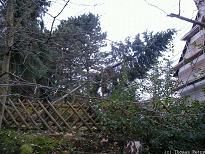 Sch�den durch Vera