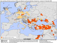Verbreitung in Europa 2006