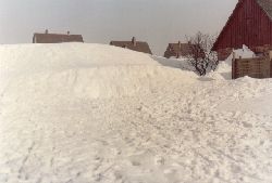 Schnee Februar 1979