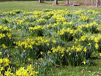 Fr&uuml;hlingserwachen Bad Nauheim 21.03.2004