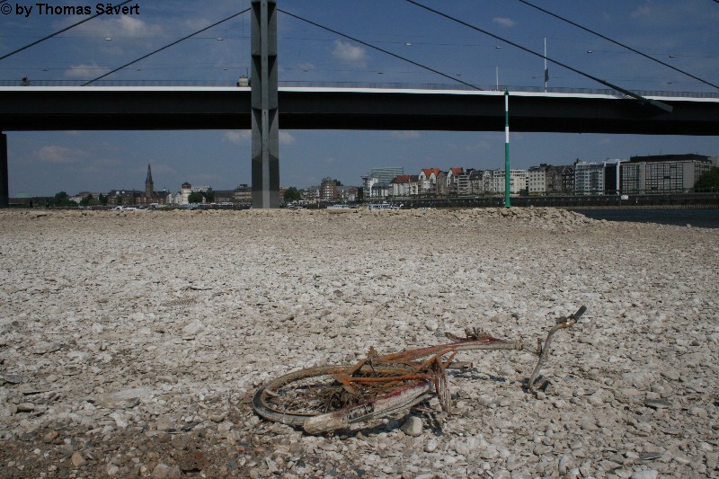D�sseldorf 5