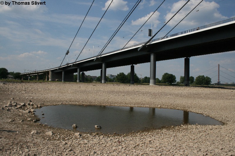 D�sseldorf 6