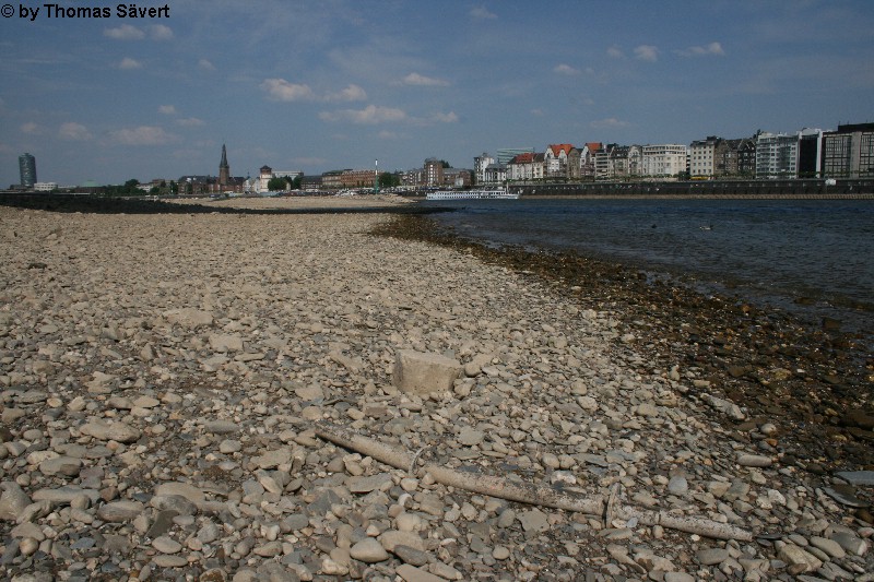 D�sseldorf 7