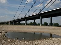 Niedrigwasser Rhein, D�sseldorf am 04.05.2007