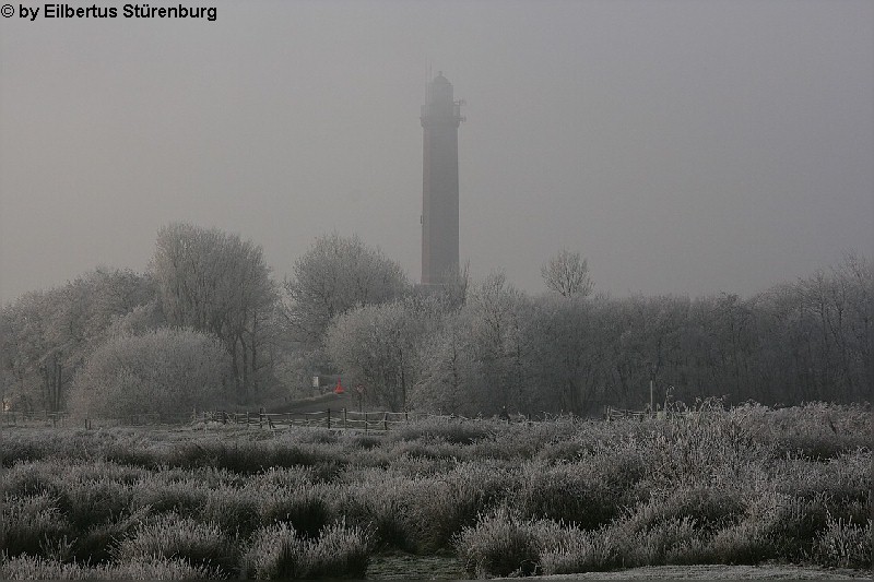 Norderney 5