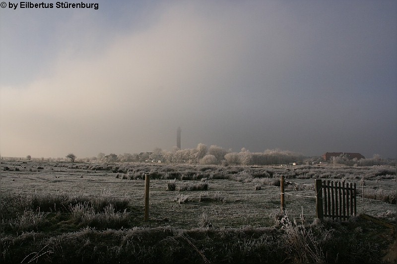 Norderney 6