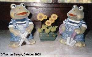 Gartenfrosch