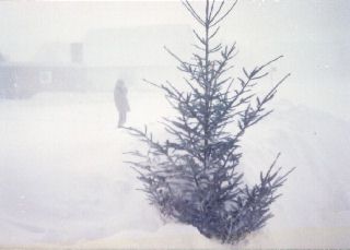 Schnee 1978