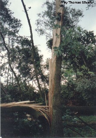 Tornado bei Neumünster 2