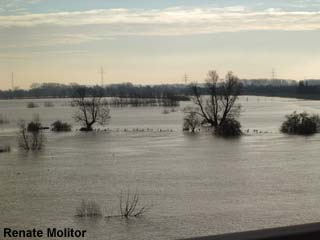 Rees von der Br�cke