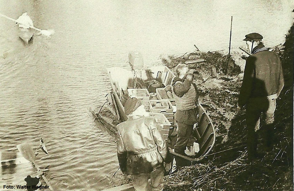 Sturmflut 1962 Hamburg, Bild 6