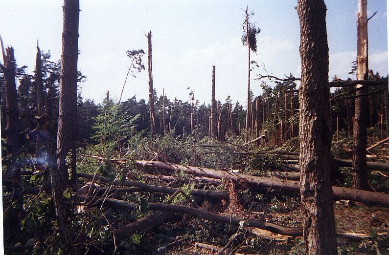 Schäden bei Triepkendorf am 10.07.2002