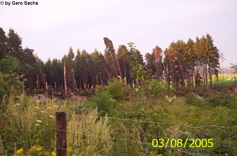 Unterkoskau 1