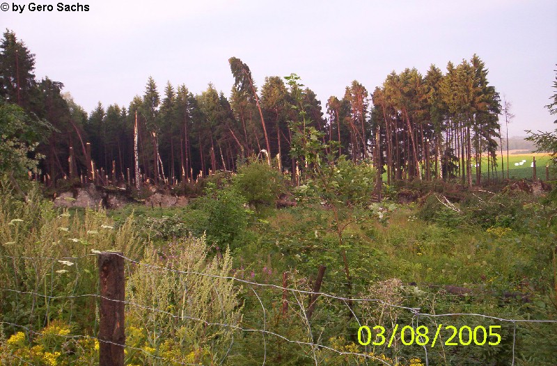 Unterkoskau 4
