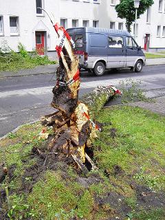 Gladbeck 12