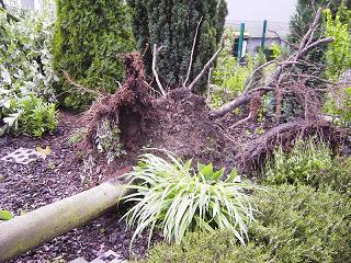 Gladbeck 15