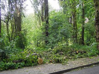 Gladbeck 2