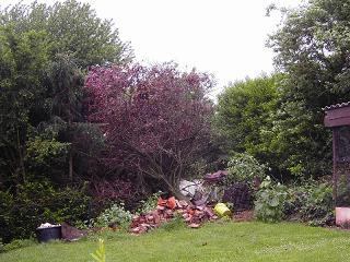 Gladbeck 4