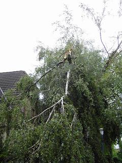 Gladbeck 6
