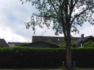 Gladbeck 7
