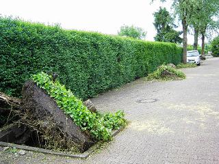 Gladbeck 8