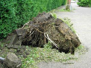 Gladbeck 9
