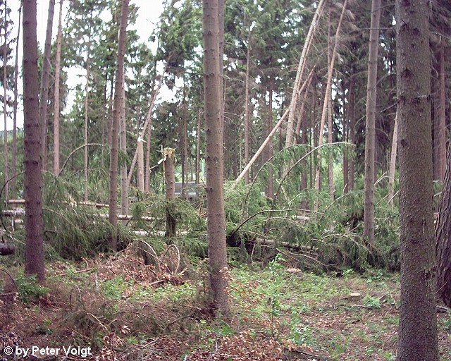 Dippoldiswalde 3