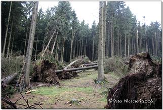 R�nkhausen 5