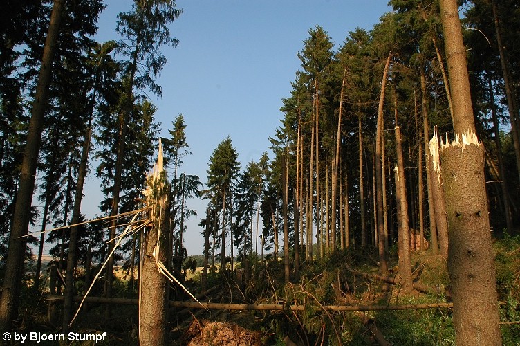 Hatterode 2