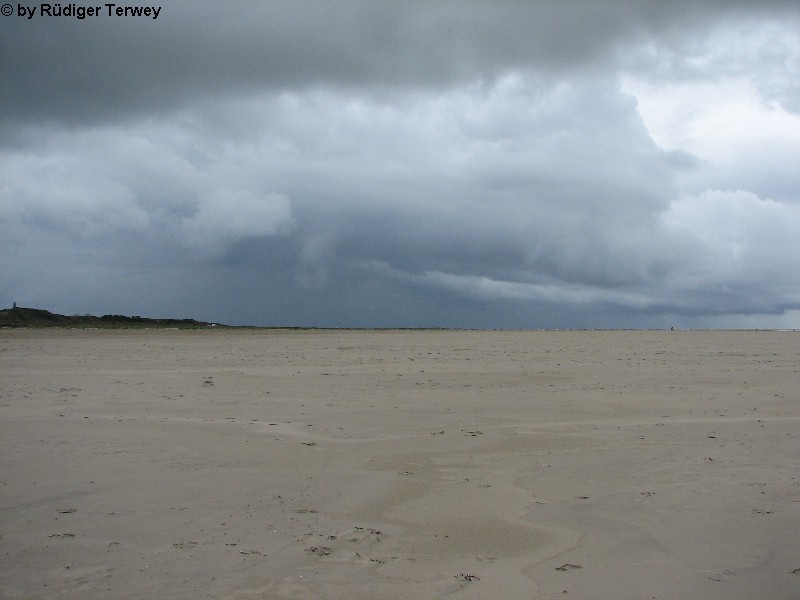 Borkum 6