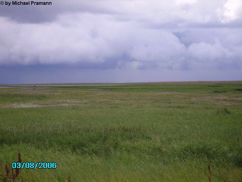 St. Peter Ording 5