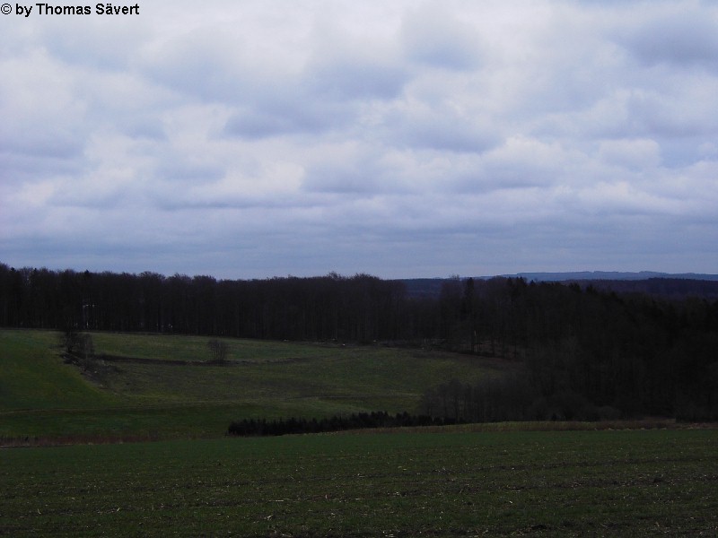 Meinborn 1