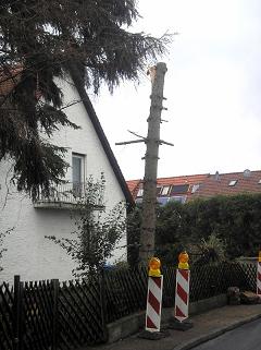 N�rnberg 42