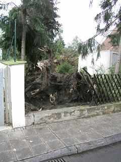 N�rnberg 8