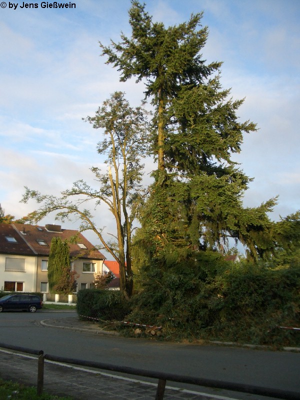 N�rnberg 4