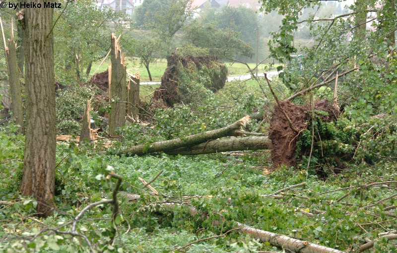 Diedorf 1