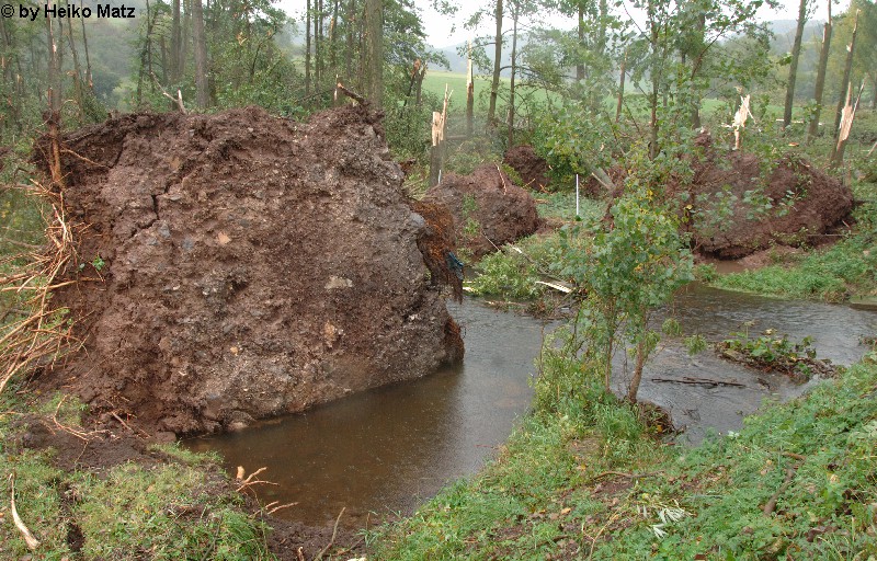 Diedorf 2