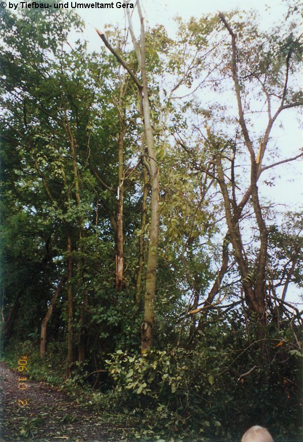 Gera 1
