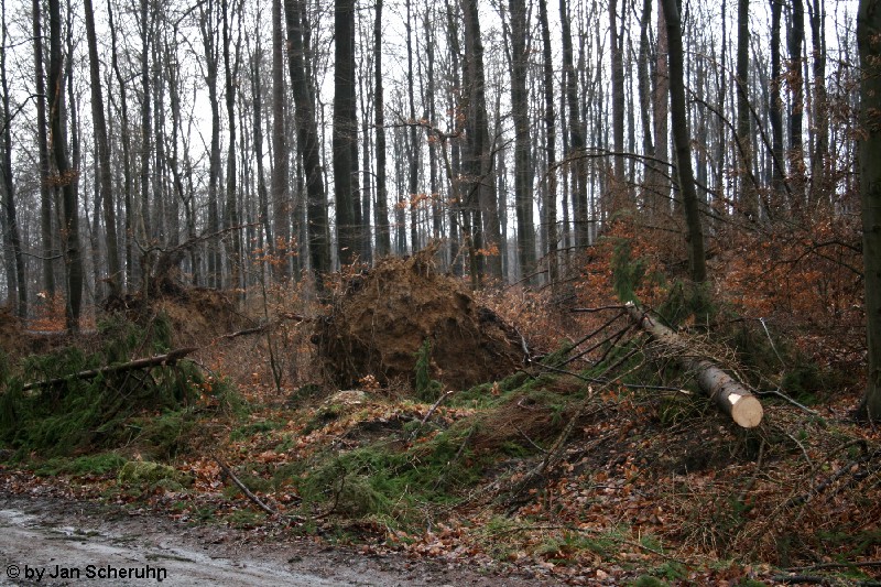 Barsinghausen 10