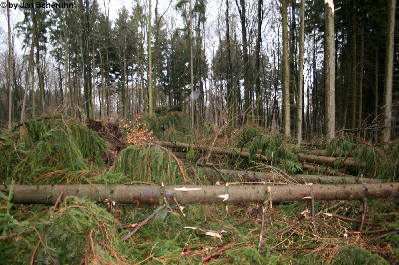 Barsinghausen 11