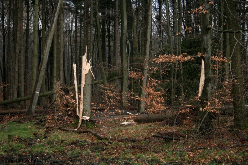 Barsinghausen 12